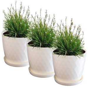 Kadax 3x Doniczka 30cm Osłonka + Podstawka Kremowa 375740 Kadax 3x Doniczka 30cm Osłonka + Podstawka Kremowa 375740