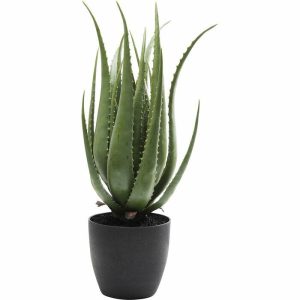 KARE roślina dekoracyjna ALOE 69 cm 327767 KARE roślina dekoracyjna ALOE 69 cm 327767
