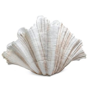 KARE wazon dekoracyjny CONCHA 57 cm 341057 KARE wazon dekoracyjny CONCHA 57 cm 341057